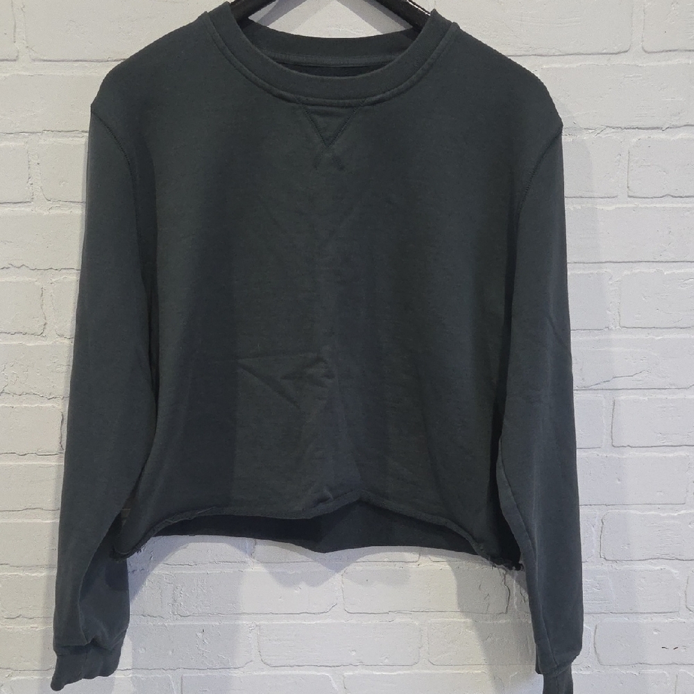 Everlane Charcoal Cropped Crewneck Sweatshirt